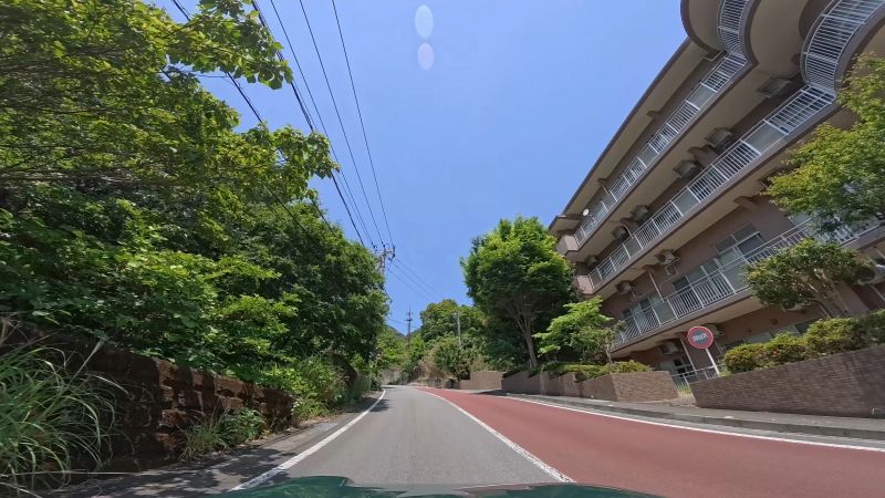 頼朝ライン